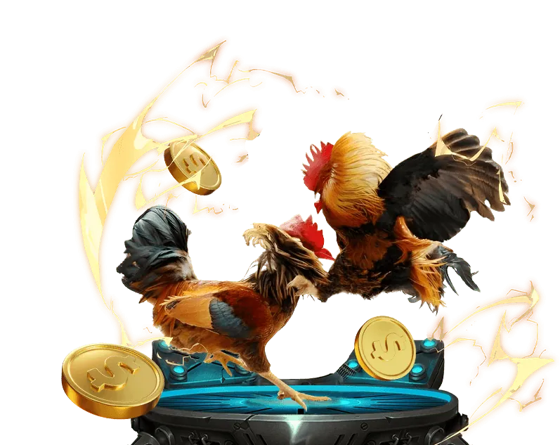 Một trận đấu đá gà kịch tính trên nền tảng tx68